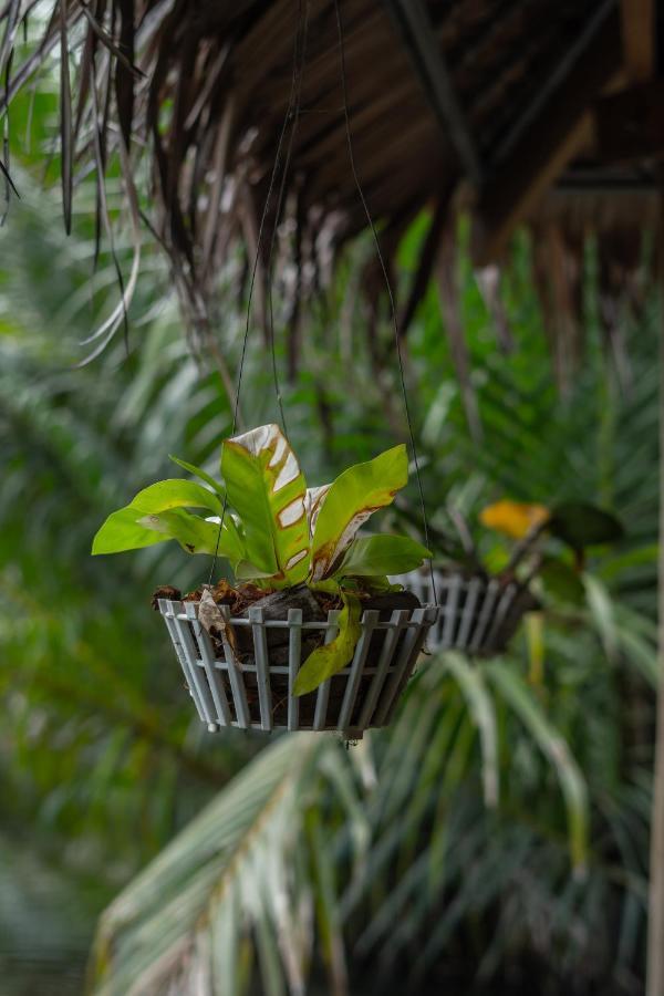 Nary Garden Hotel Kampot Ngoại thất bức ảnh