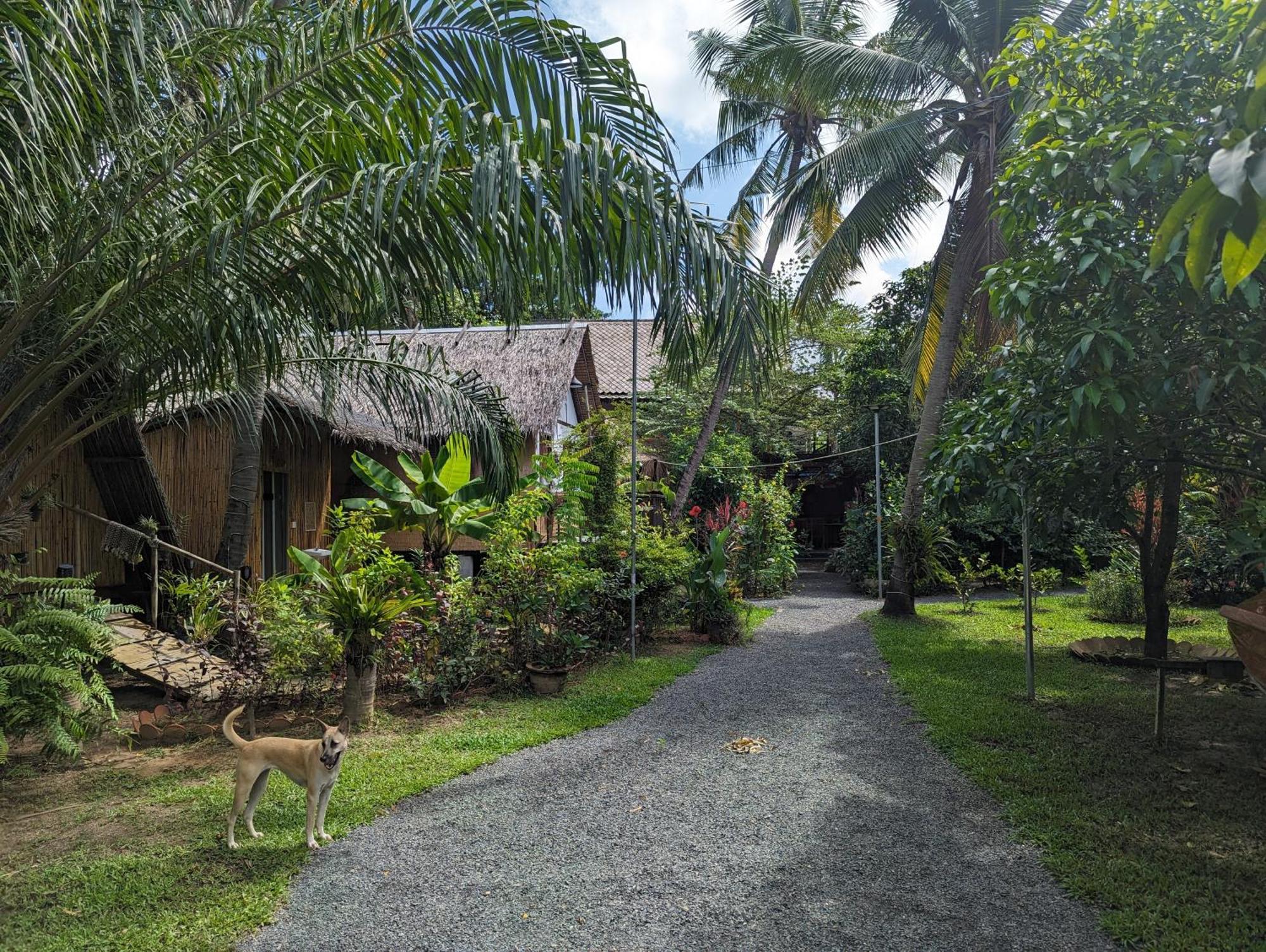 Nary Garden Hotel Kampot Ngoại thất bức ảnh